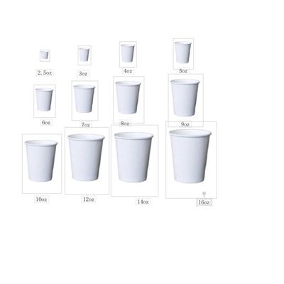 Máquina de Formar Copas de Papel de Uma Vez com Design Totalmente Automático e Potência de 15KW no Paquistão